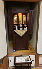 <b>S�l�i����s�������j</b>