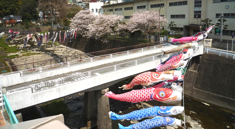 桜と鯉のぼり