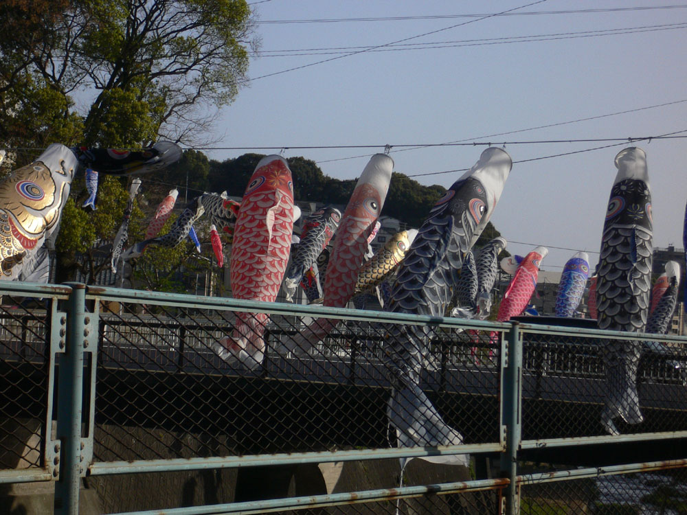 鯉のぼり
