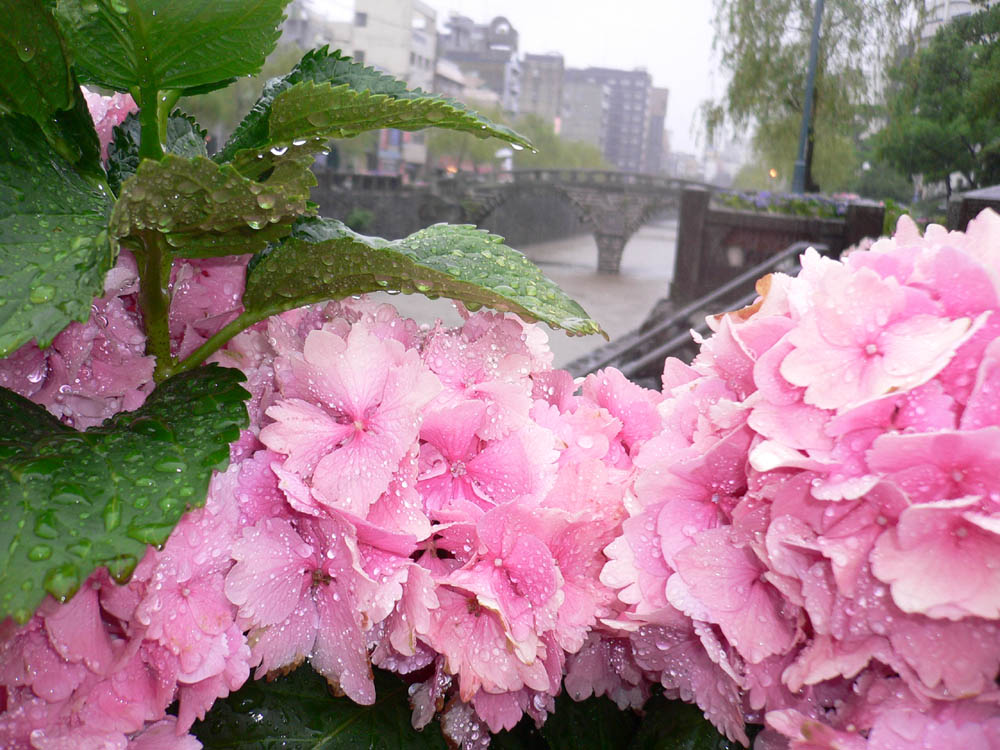 梅雨明け。