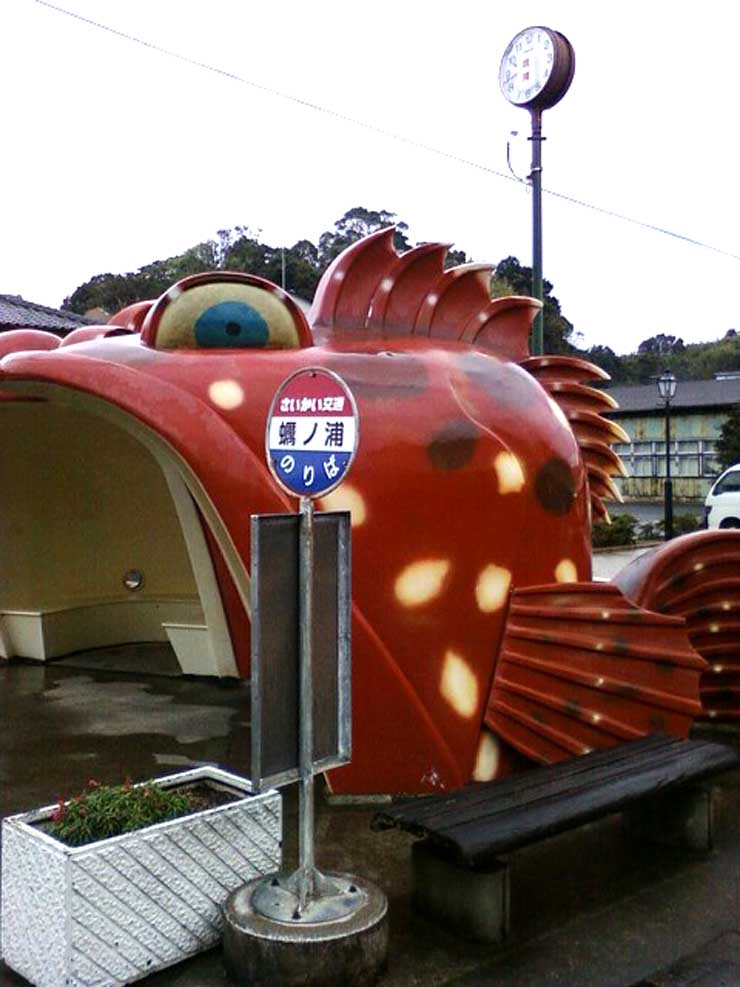 大島で出会った魚