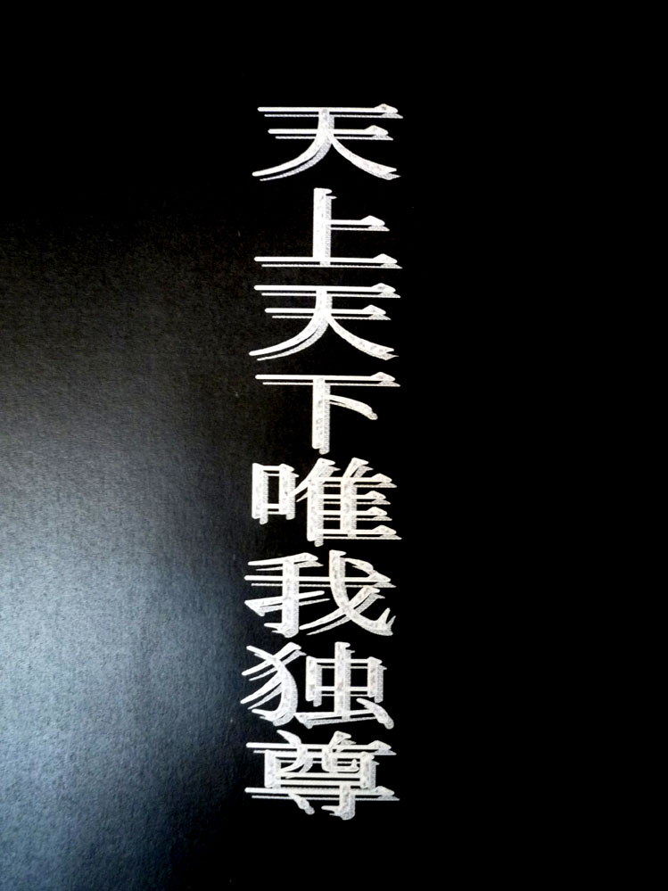 天上天下唯我独尊