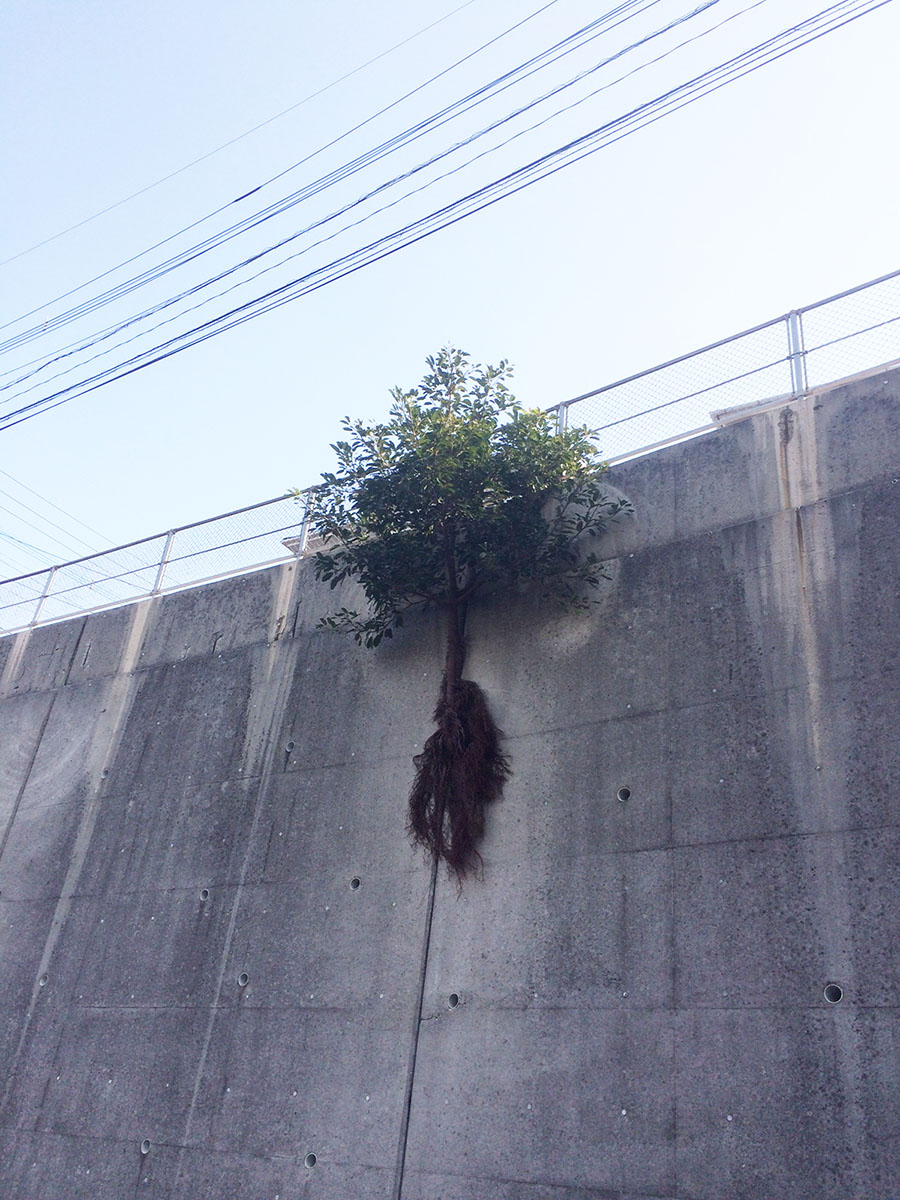 なぜ、ここに?
