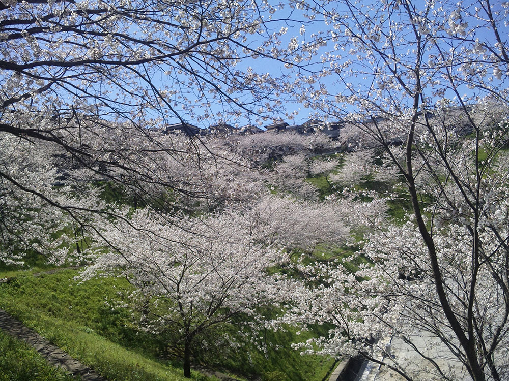 始まり