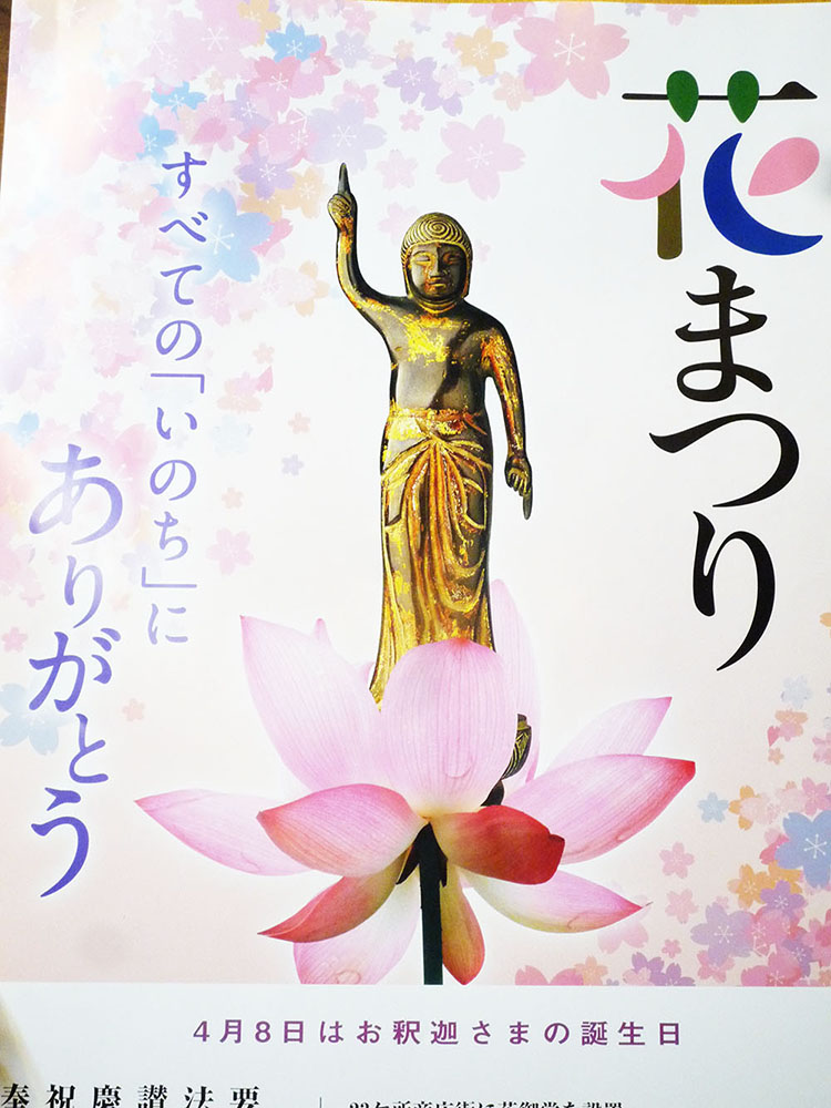 甘露の雨