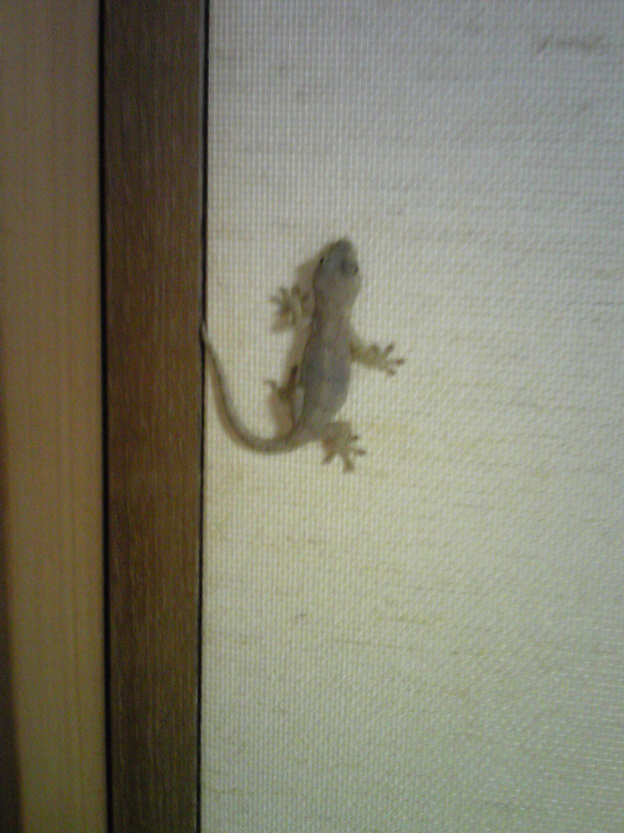 半開きの訳。。。