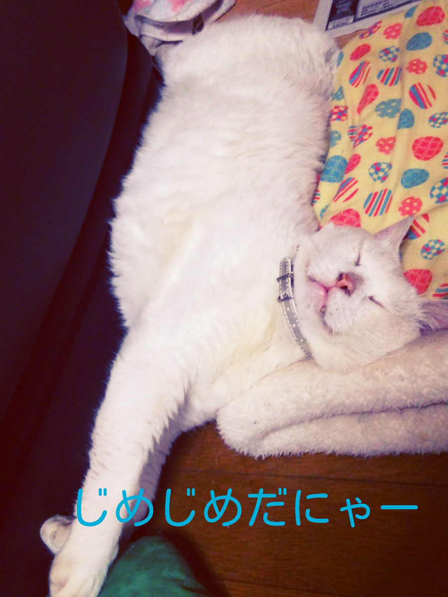 雨の日の過ごし方