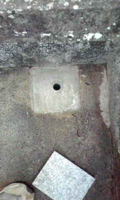 @pɂ荞ނ悤