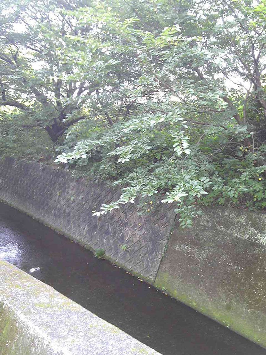 おいしくて強くなる?