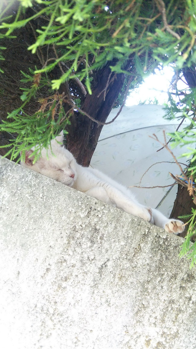 眠れない夜は…