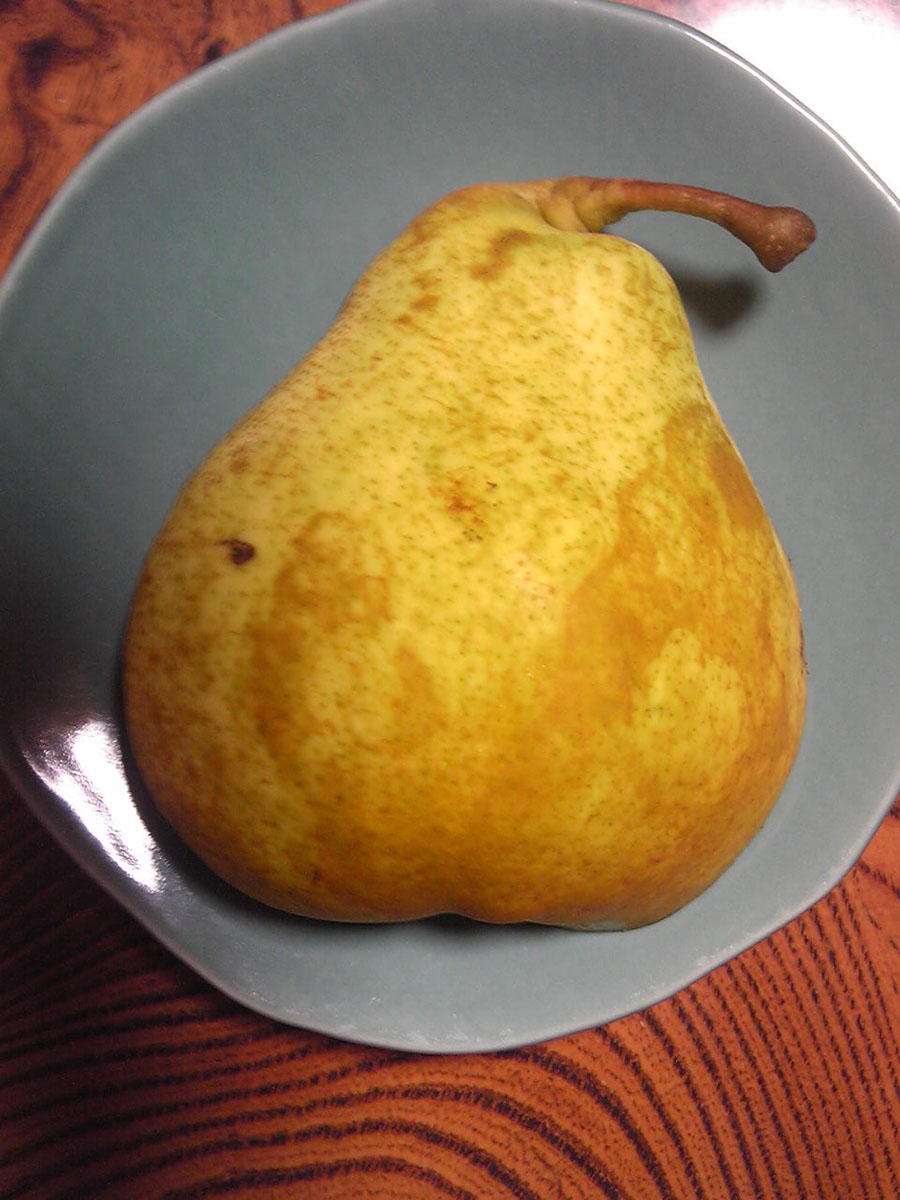 煮るしかないかも