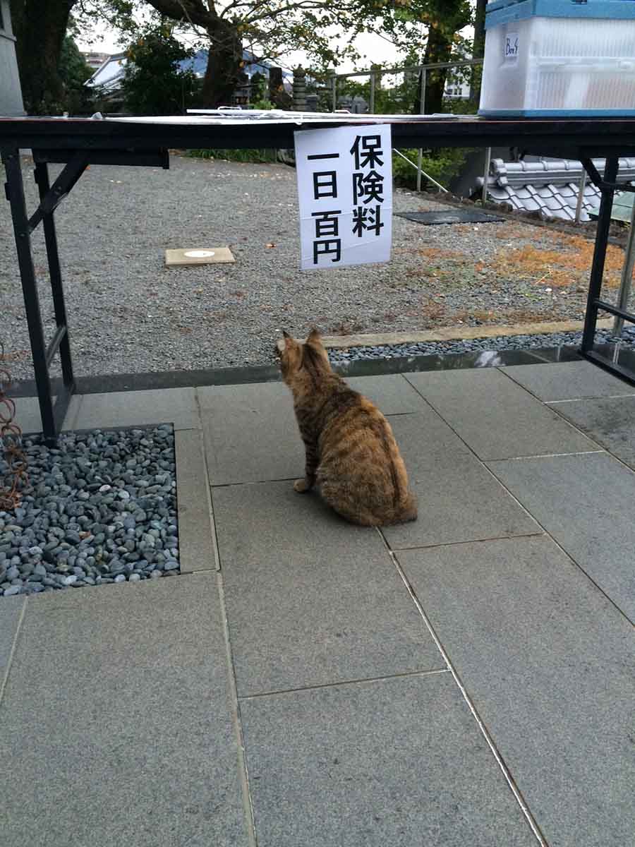 お巡り