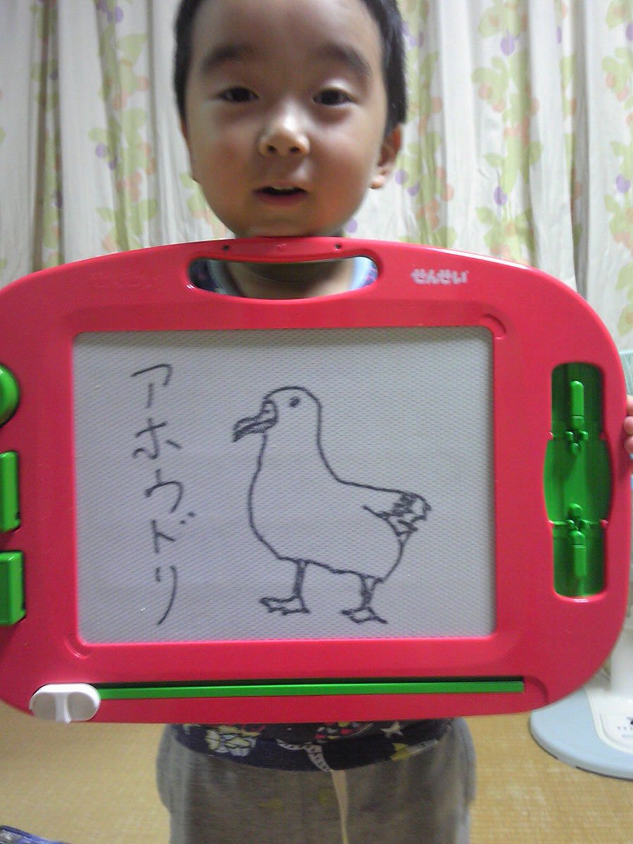 アホウドリはアホなのか?