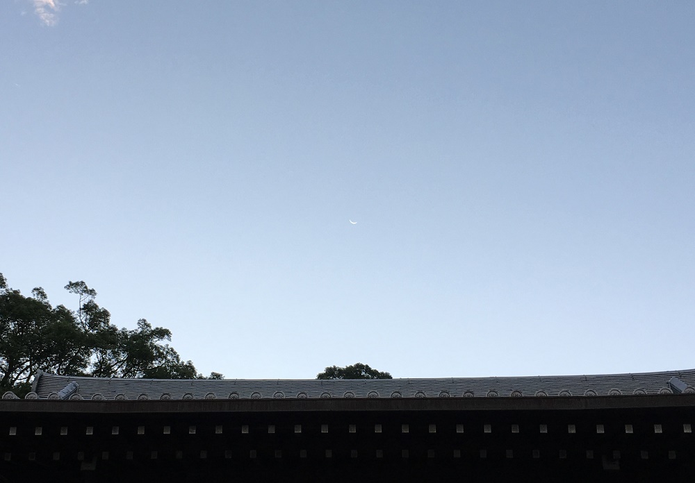 空を見上げると