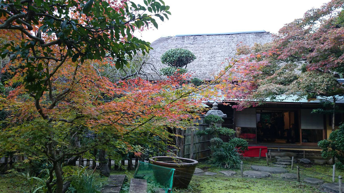 長崎市内の紅葉