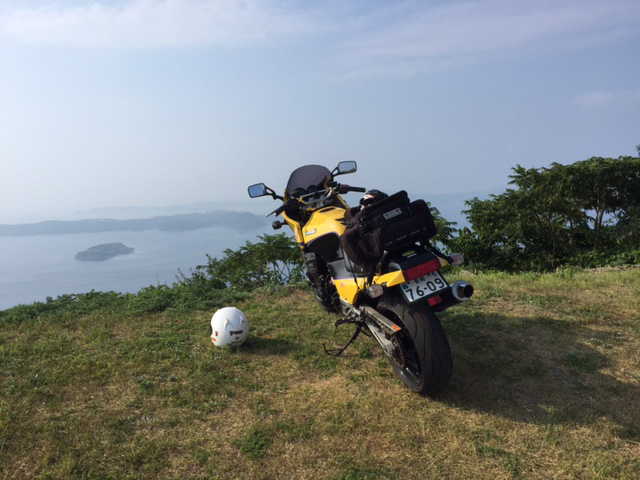 2016の総括