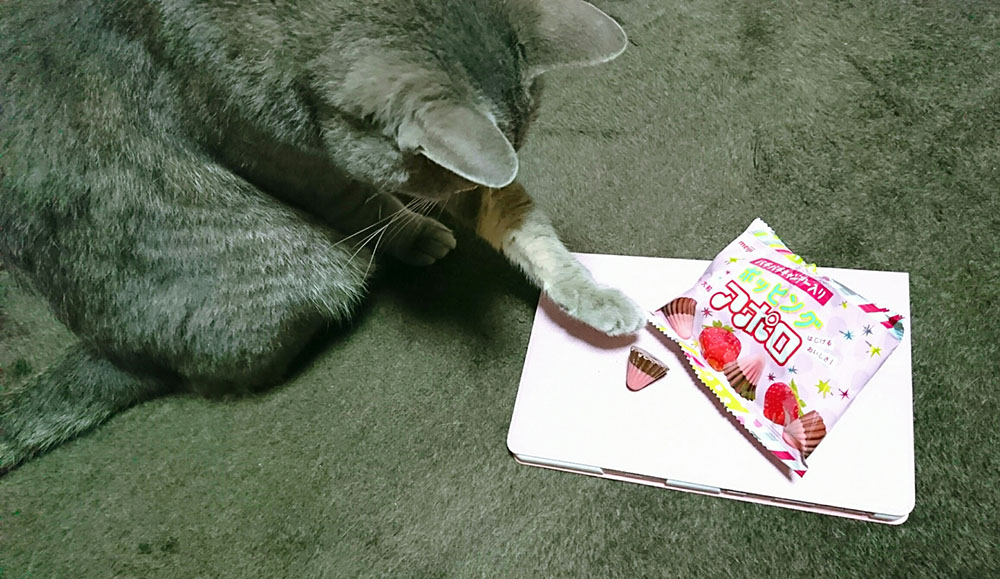 ハマッているんです。