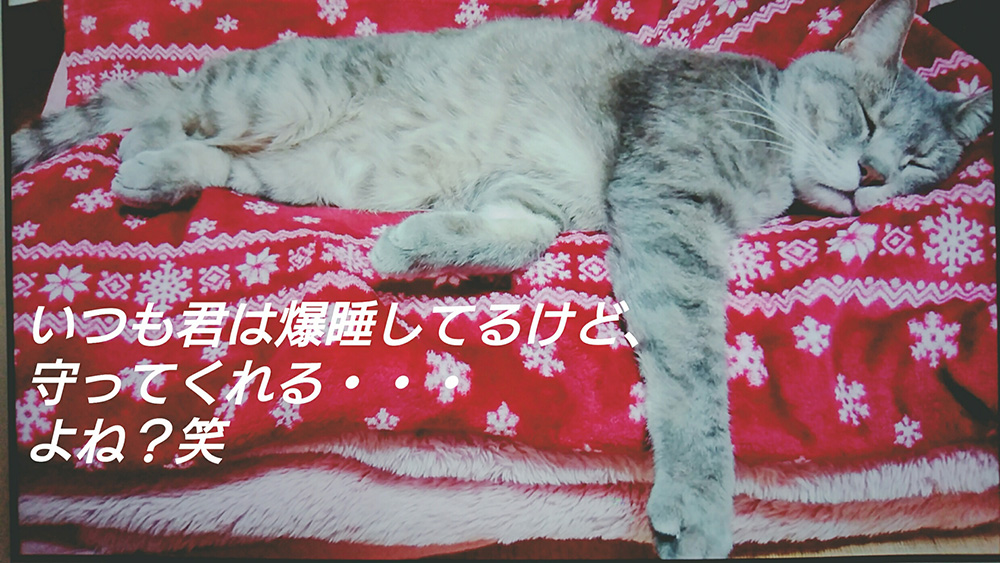 嫌で嫌で仕方ない。