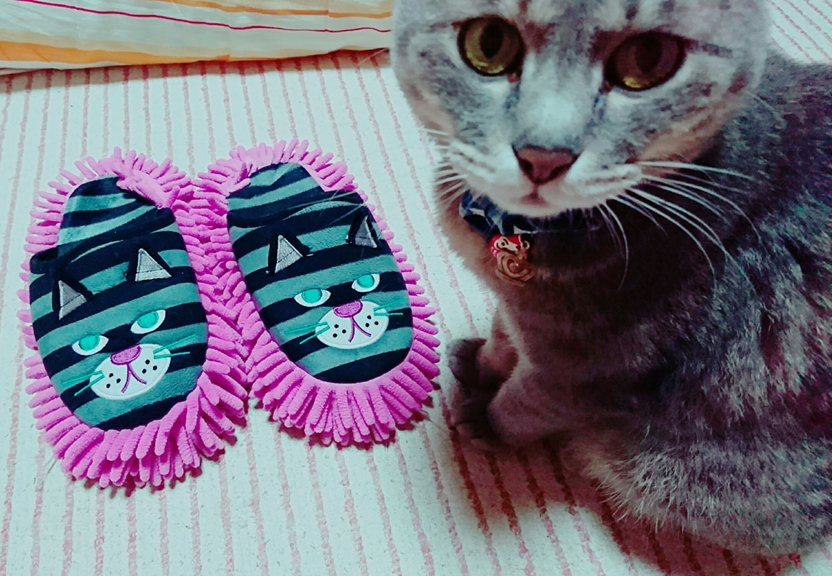 履く?履かない?