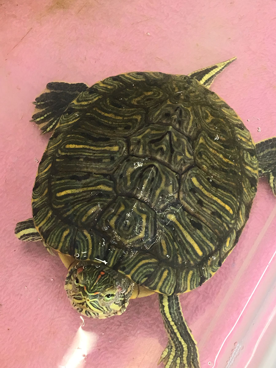 待合室で