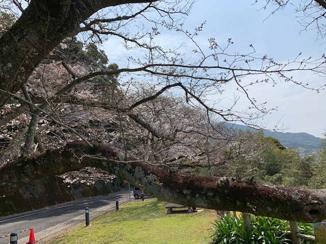お気に入りの場所2019