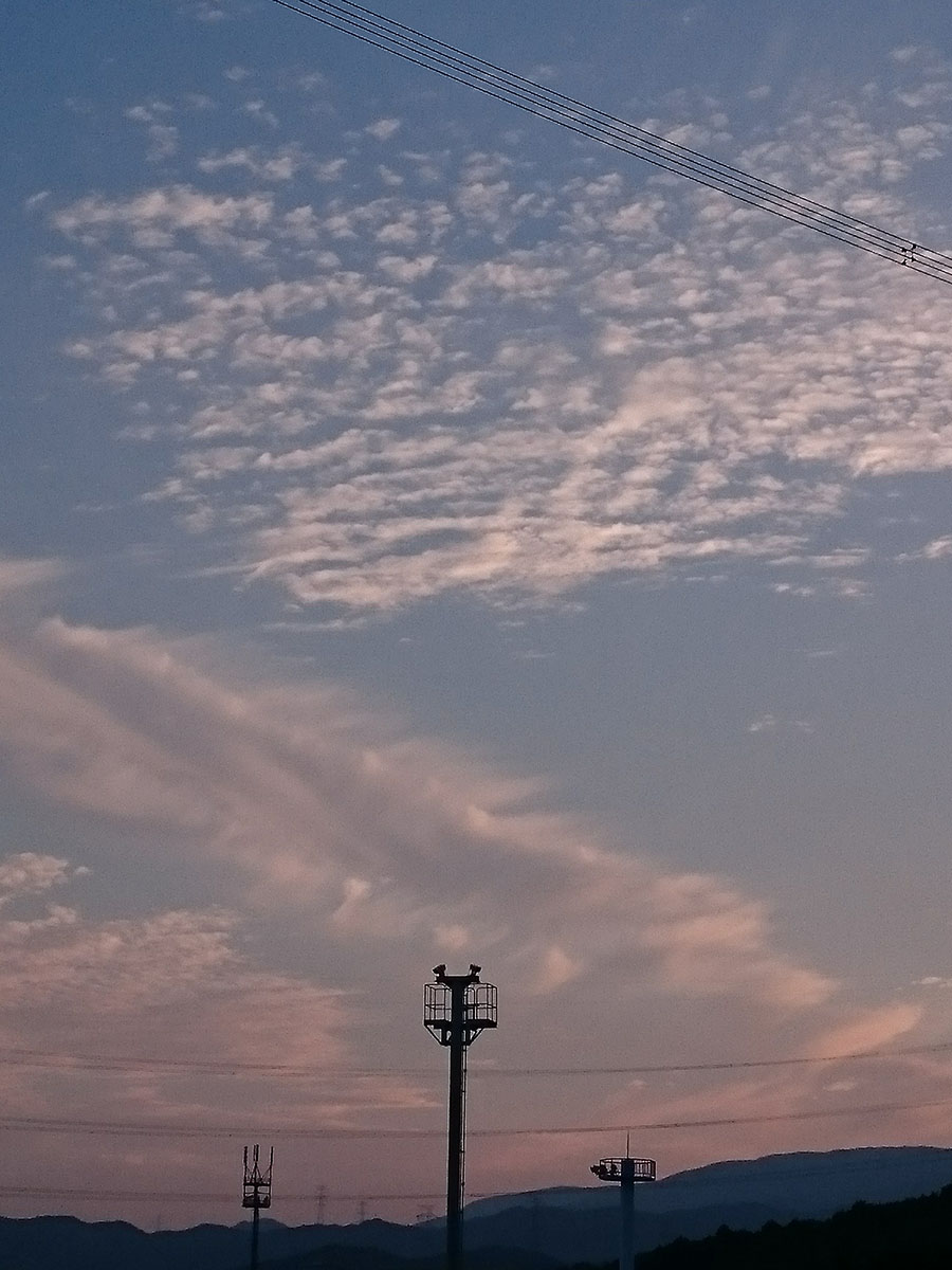 秋雨前線