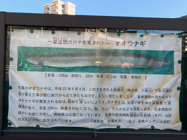 通勤時の発見パート3