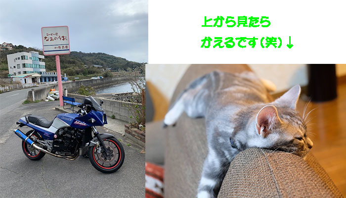 ブルブル