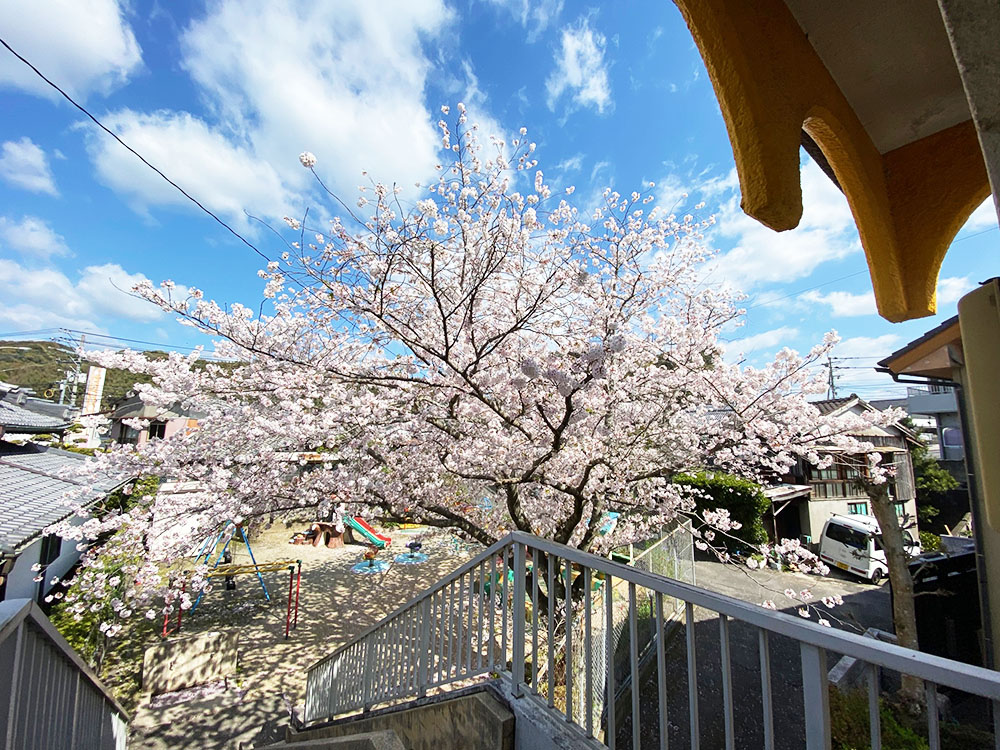花は咲き誇り