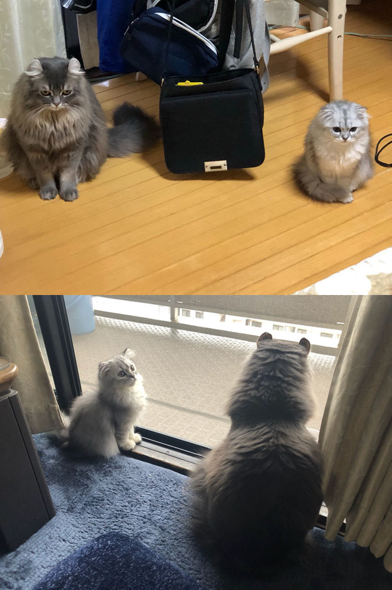 よこしまなヒーロー