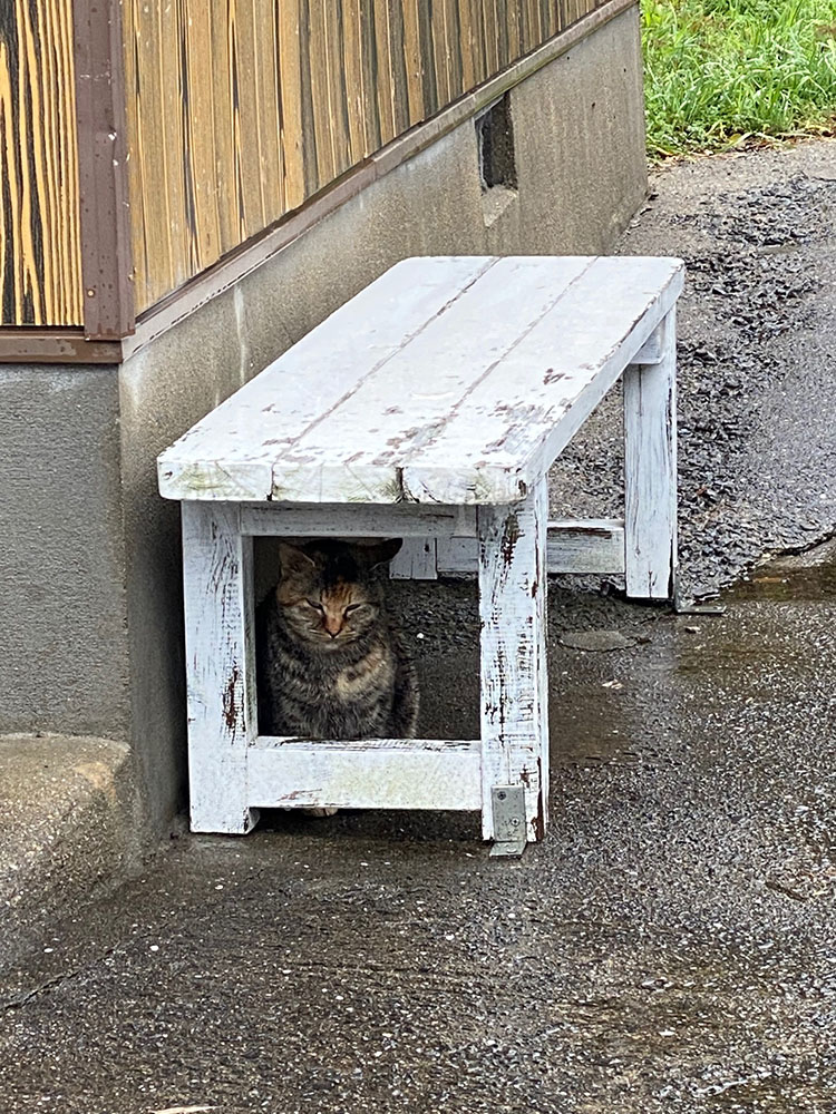 梅雨入り