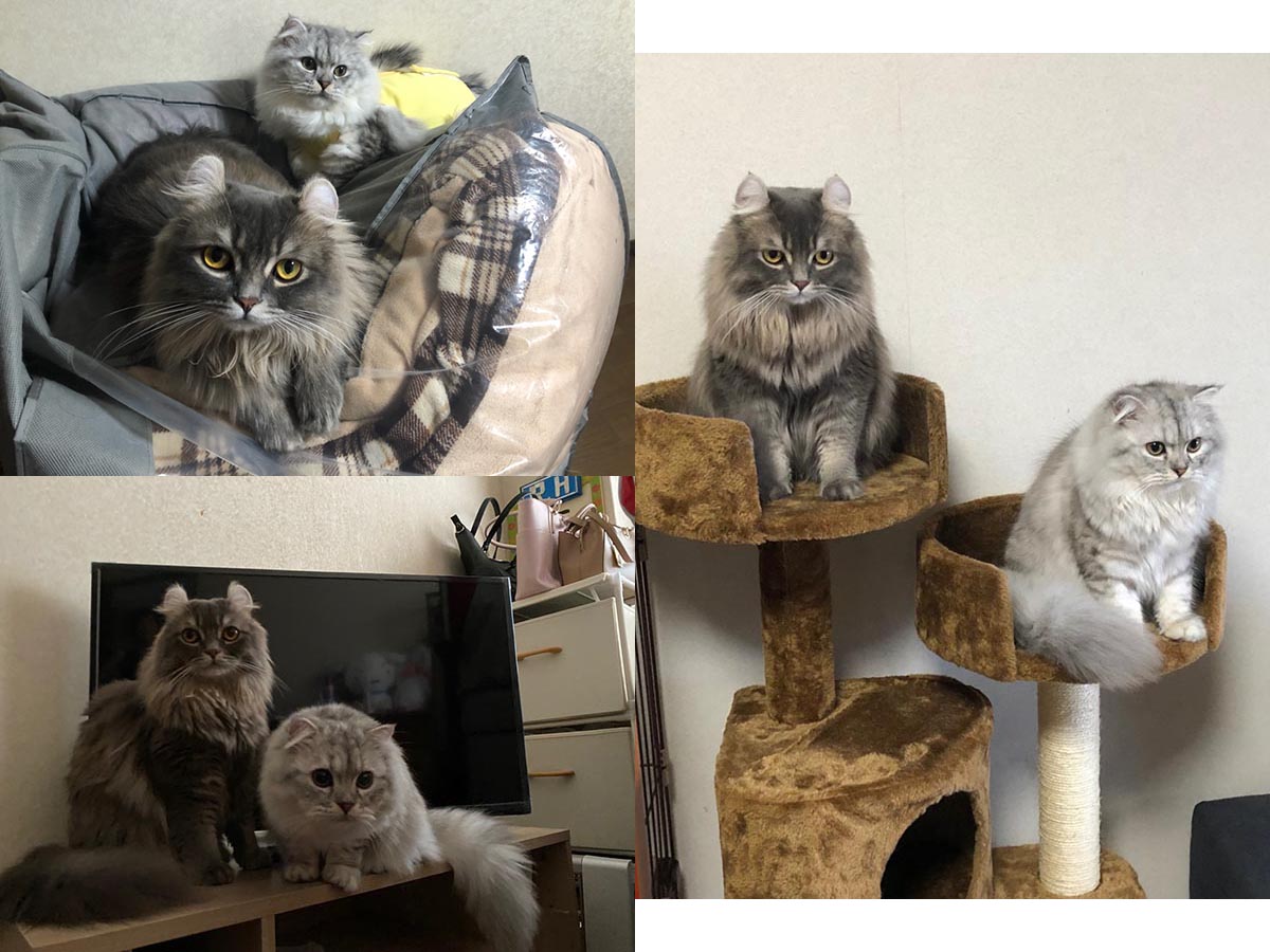 また今度をやめよう