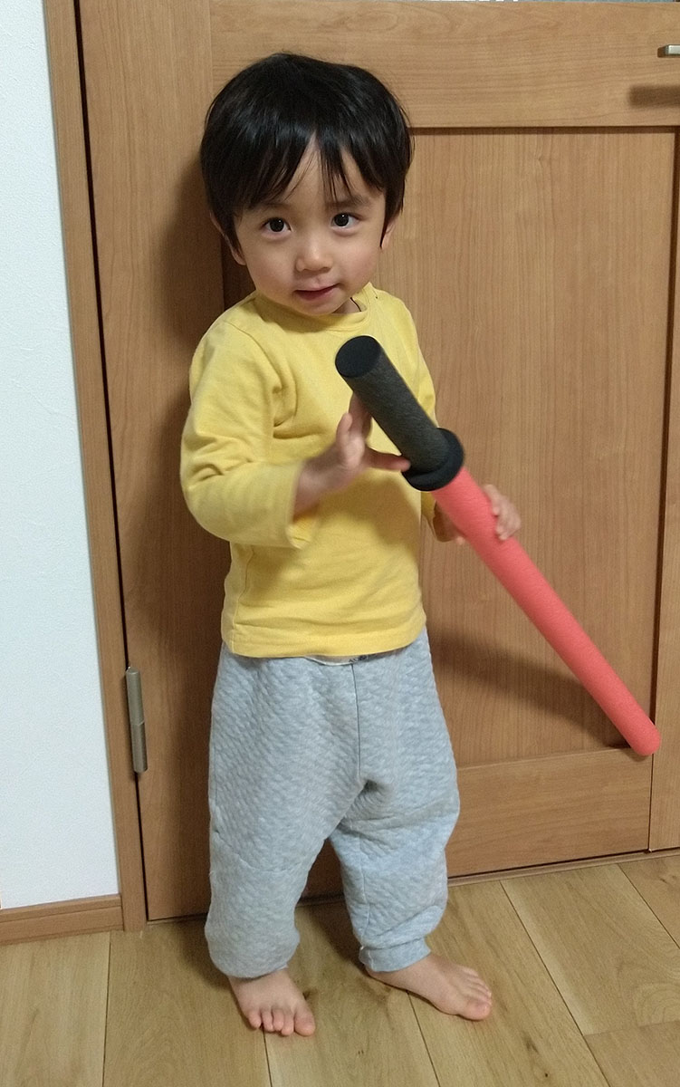 社会現象。我が家にも。