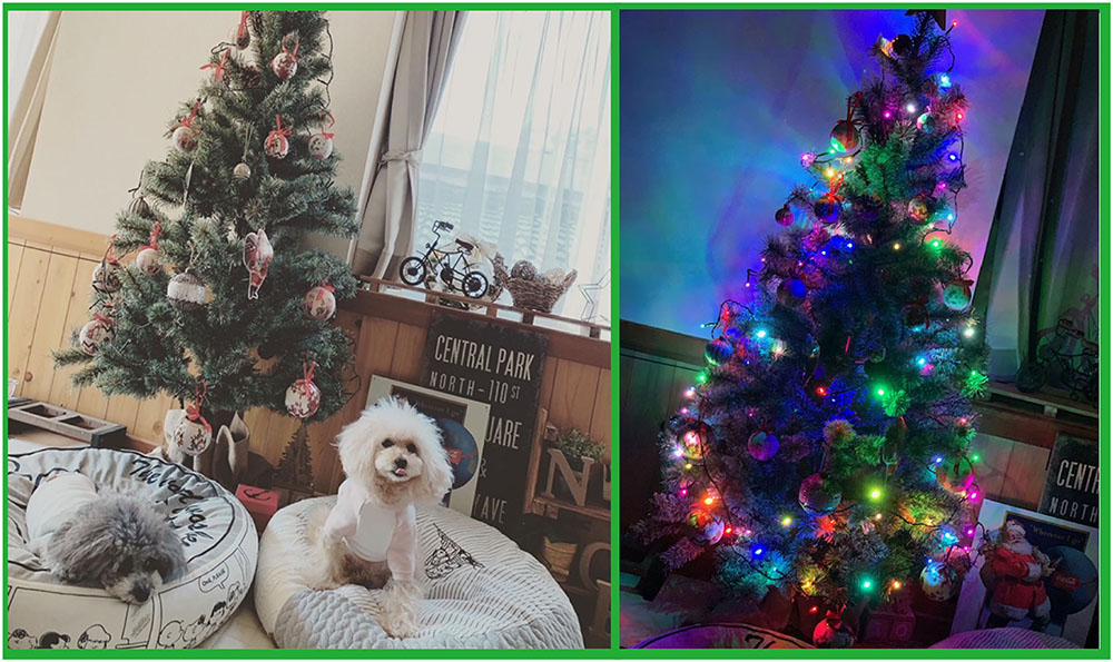 クリスマスツリー点灯