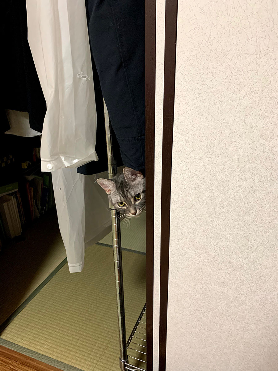 最後まで苦戦(笑)