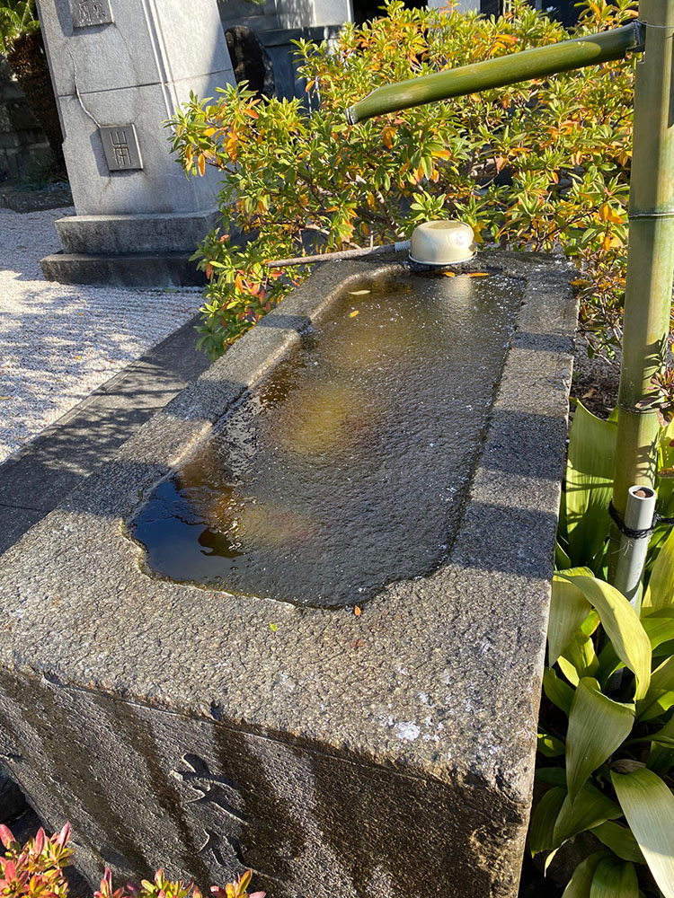 新年あけましておめでとうございます!