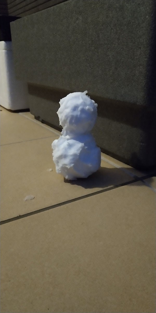 雪の日の戦い