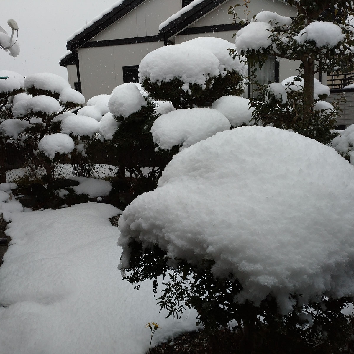 平和な世界