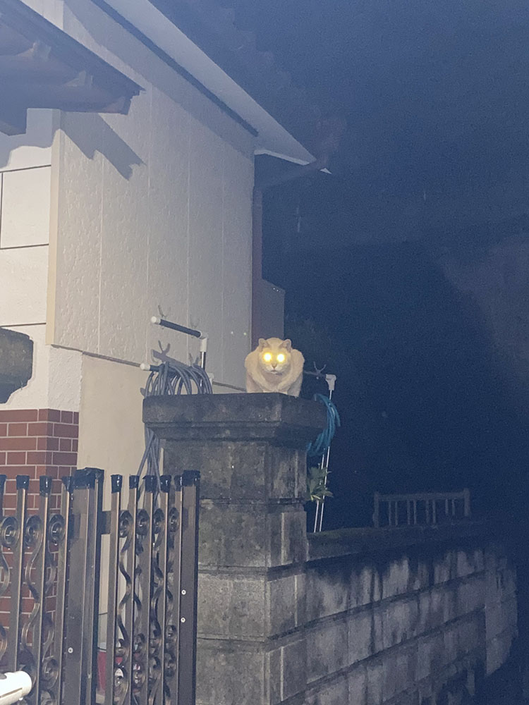 置き物
