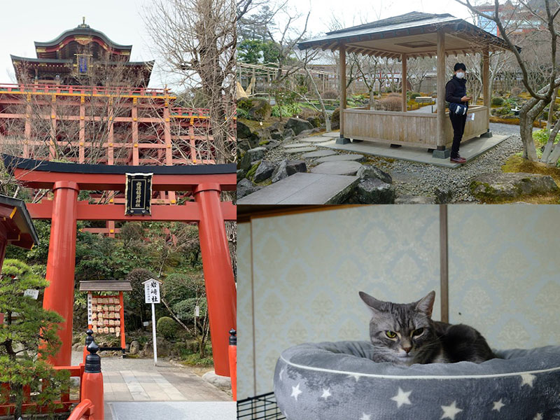 初めての日本庭園