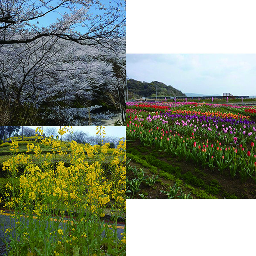 春の花