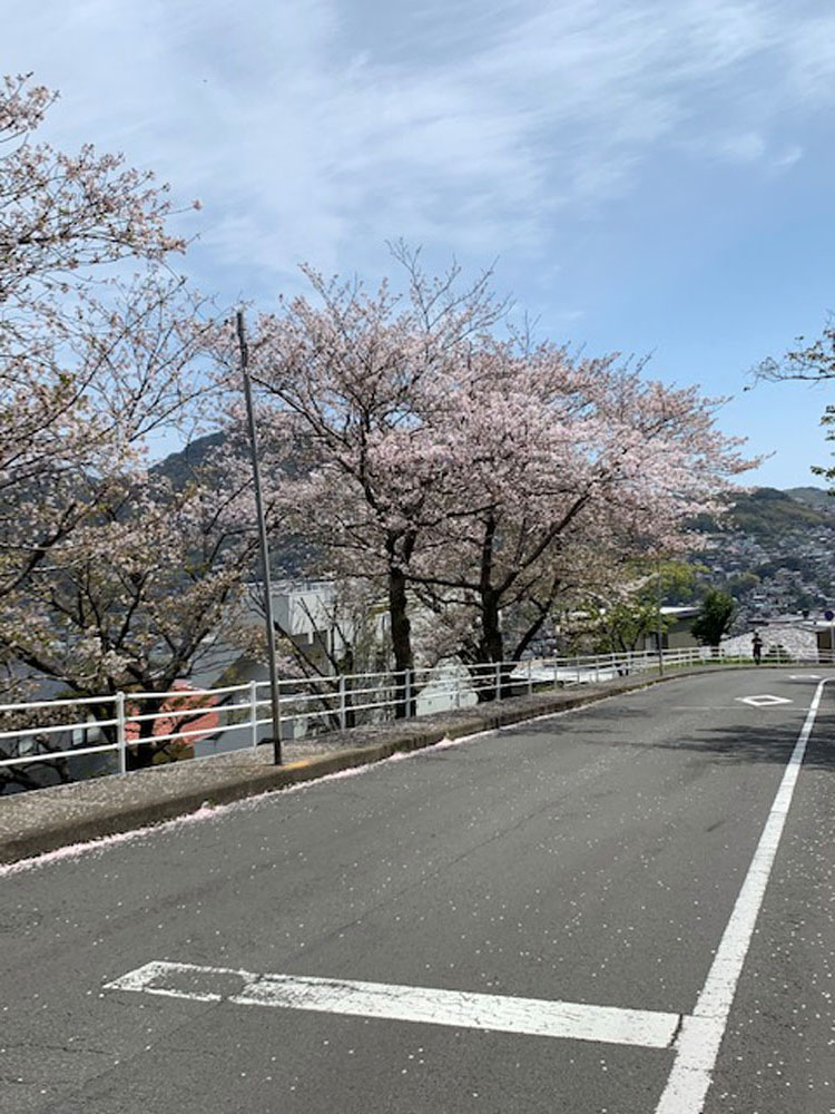 鳶に油揚げをさらわれる&泣きっ面に蜂!!