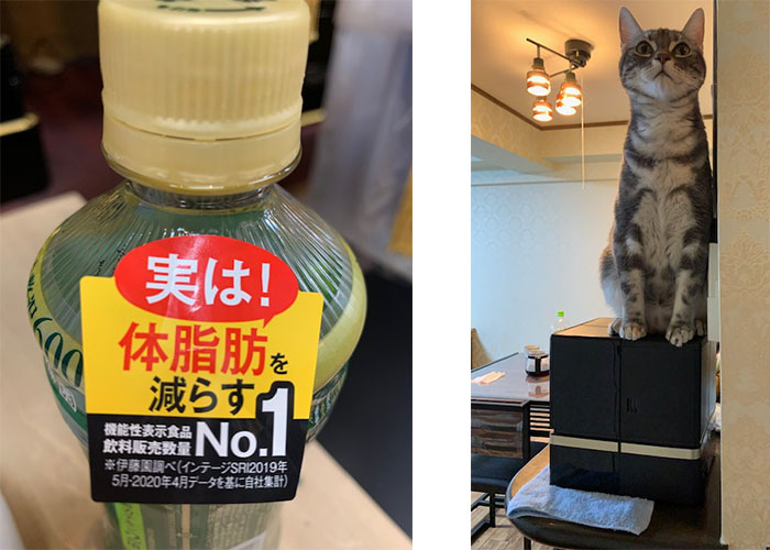 戦略??