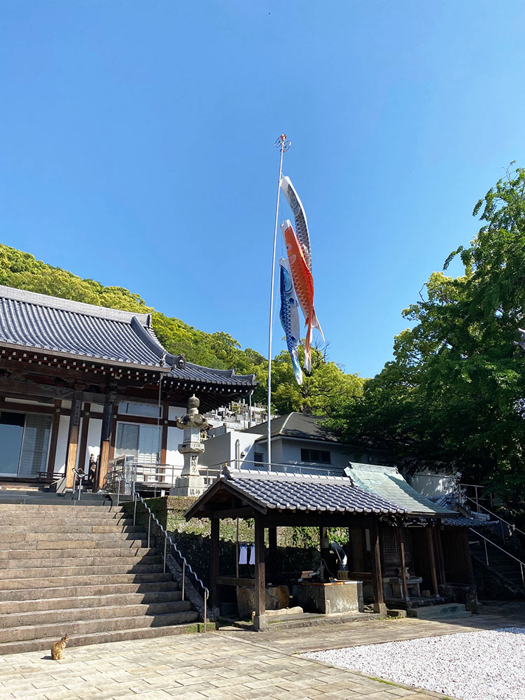 鯉のぼり