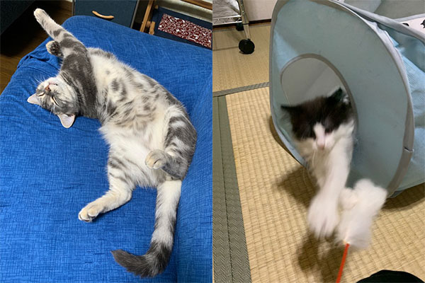 結膜炎