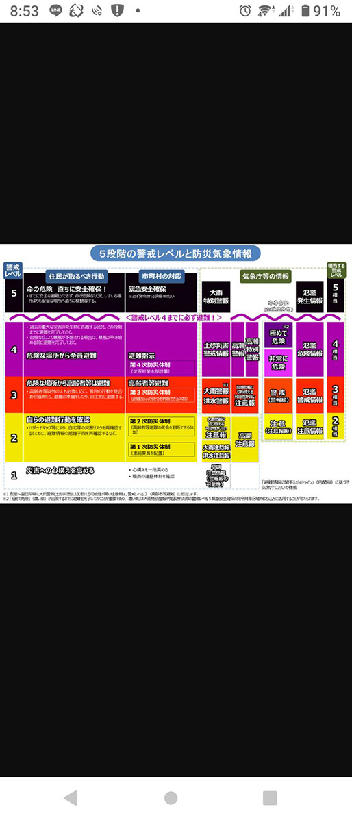 今年の夏は