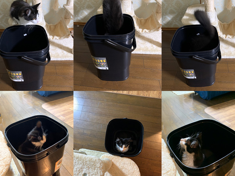 コンポスト