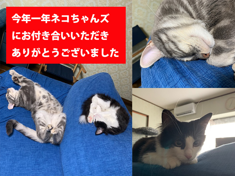 大晦日