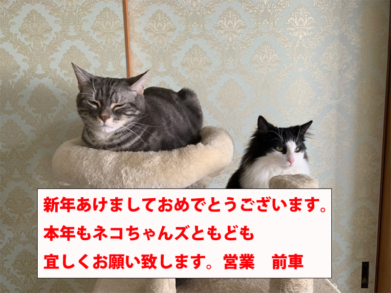 お正月🎍