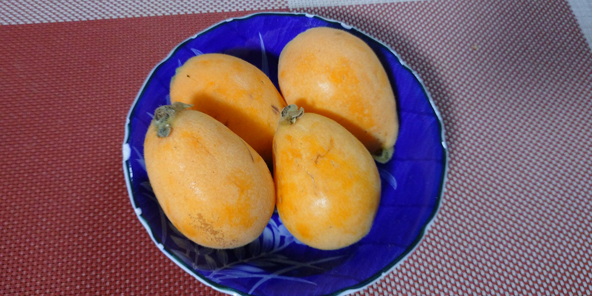 美味しいびわ